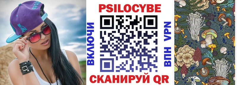 купить наркотик  Старая Купавна  Галлюциногенные грибы Magic Shrooms 