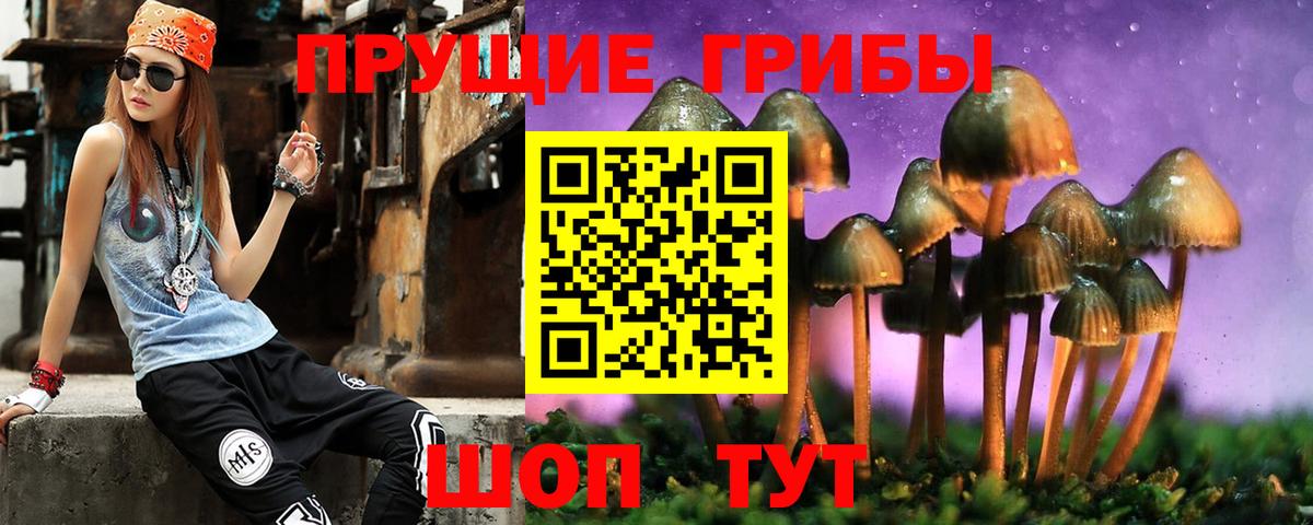 Галлюциногенные грибы прущие грибы Старая Купавна
